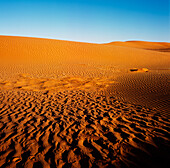 Sanddünen, Simpson Wüste, Australien