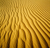 Sand Pattern, Sand Dune, Nambung National Park, Australia