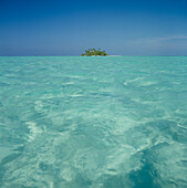 Tropische Insel, Malediven