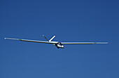 Glider in Flight