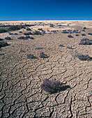 Cracked Earth, Dry Lake Bed, Australia