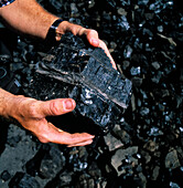 Man Holding Black Coal, Australia