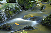 Detail von fließendem Wasser eines kleinen Flusses im Herbst im Bayerischen Wald, Bayern, Deutschland.