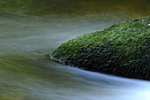 Detail des fließenden Wassers eines kleinen Flusses im Herbst im Bayerischen Wald, Bayern, Deutschland.