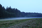 Landscape of a foggy morning in Upper palatinate, Bavaria, Germany.