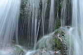 Close-up of waterfalls in a forest in spring, Bodenmais, Regen District, Bavarian Forest National Park, Bavaria, Germany