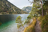 Landschaft eines Weges an einem klaren See im Herbst, Plansee, Tirol, Österreich