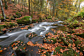 Flusslandschaft (Kleine Ohe) im Herbst, Nationalpark Bayerischer Wald, Bayern, Deutschland