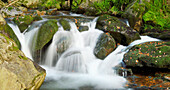 Nahaufnahme eines über Felsen fließenden Flusses im Herbst, Nationalpark Bayerischer Wald, Bayern, Deutschland