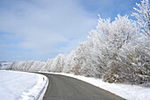 Straße durch Landschaft im Winter, Oberpfalz, Bayern, Deutschland