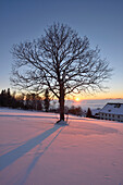 Landschaft mit Sonnenuntergang über Wolken und Hügel im Winter, Bayerischer Wald, Bayern, Deutschland