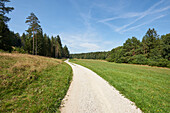 Landschaft mit Weg zwischen Wald und Wiese im Spätsommer, Oberpfalz, Bayern, Deutschland