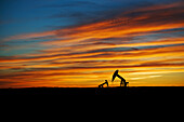 Pump Jacks in Oilfield, Saskatchewan, Canada