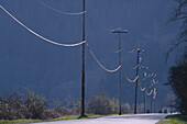 Rural Road, British Columbia, Canada