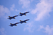 US Navy, Blue Angels