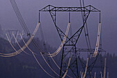 Power Lines, British Columbia, Canada
