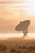 Radioteleskop und Nebel bei Sonnenaufgang, New Mexico, USA