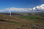 Windpark, Südost Washington, USA