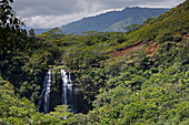 Opaeka'a Wasserfälle, Kauai, Hawaii, USA