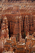 Bryce Canyon National Park, Utah, USA