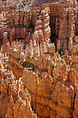 Bryce-Canyon-Nationalpark, Utah, USA