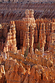 Bryce Canyon National Park, Utah, USA