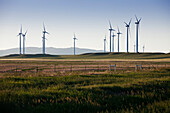 Wind generators, in field, Montana, USA.