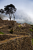 Machu Picchu, Urubamba Province, Cusco Region, Peru