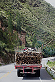 Back View of Logging Truck on Road in Rural Peru