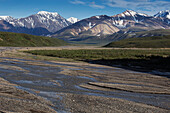 Landschaft mit Bergen, Denali National Park, Alaska, USA