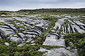 Felsige Kalksteinlandschaft, Aran-Inseln, Republik Irland