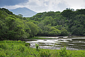 Blick auf den Killarney National Park, Grafschaft Kerry, Republik Irland
