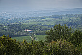 Grinzing, Dobling, Wien, Österreich