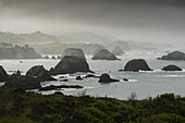 Rocky coastline of Northern California and Pacific Ocean, USA