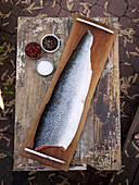 Piece of Fish on Grilling Plank