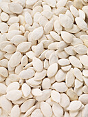 Pumpkin Seeds