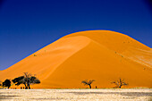 Sand Dune, Namib-Naukluft National Park, Namibia