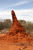 Termitenhügel, Omaruru, Erongo, Namibia