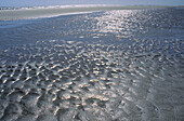 Sand Patterns, Fairwell Spit, South Island, New Zealand