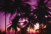 Sunrise, Eleuthera Island, Bahamas