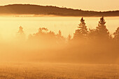 Sunrise, Elmhurst, New Brunswick, Canada