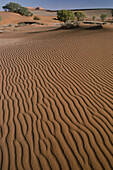 Pattern in Desert Sand, Namibia