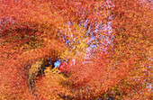 Abstrakte Herbstfarben