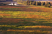 Spätsommermorgen Jemseg, New Brunswick, Kanada