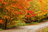 Ketchum Road im Herbst bei Kingston, New Brunswick Kanada