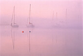 Boats in Mist at Dawn Saint John River, Gagetown New Brunswick, Canada