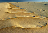 Sanddünen, Nähe Boulder Bay, Südafrika
