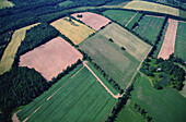 Aerial of Farm Fields, Mayfield, Prince Edward Island, Canada