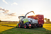Harvester and tractor harvesting crop in field