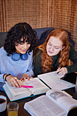 Smiling young women studying together